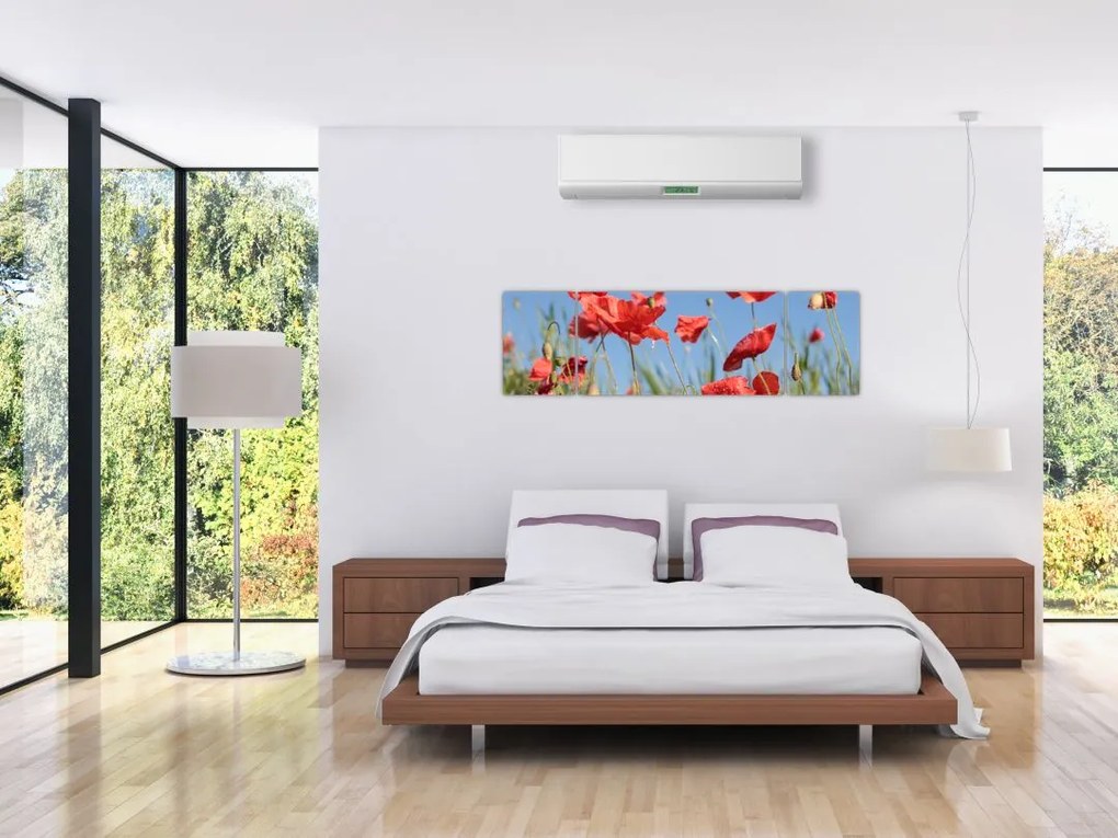 Obraz - Maki (170x50 cm)