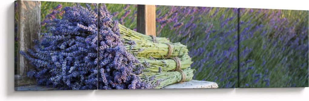 Obraz - Pęczki lawendy (170x50 cm)