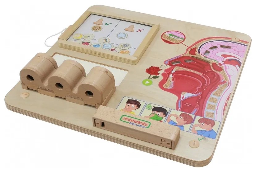 Masterkidz tablica edukacyjna zmysł węchu montessori