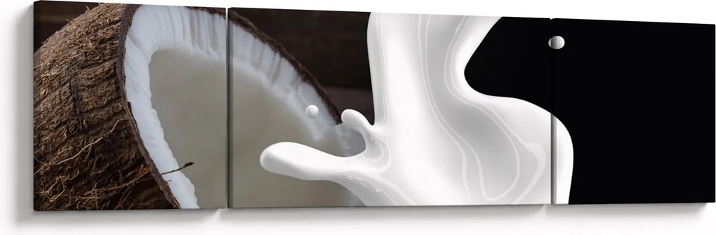 Obraz - mleko kokosowe (170x50 cm)
