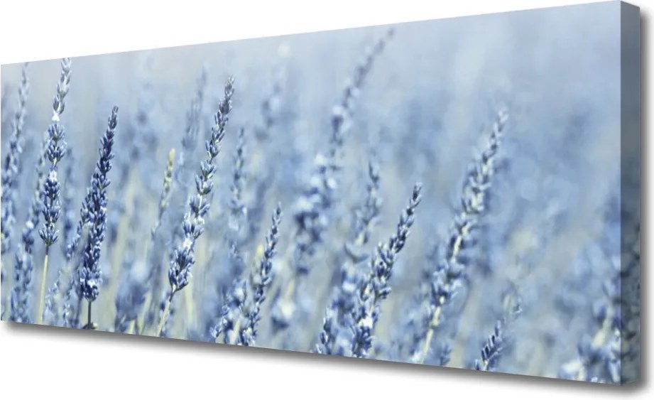 Obraz canvas Złote Kłosy na Łące