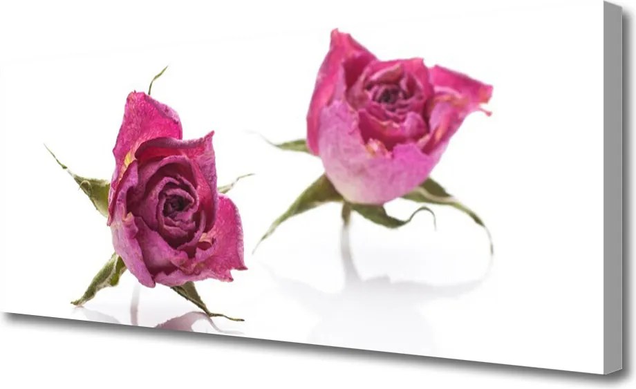 Duży obraz na płótnie Romantyczny Bukiet Róż