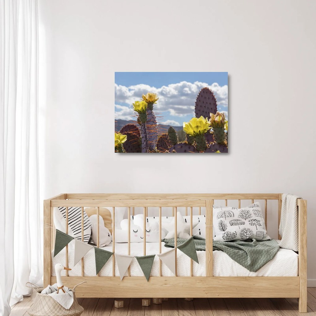 Obraz na szkle opuncji (70x50 cm)
