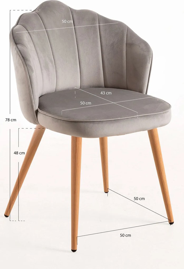 Aksamitne krzeso Blume