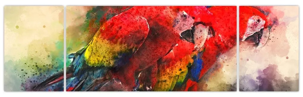 Obraz czerwonych papug Ara (170x50 cm)