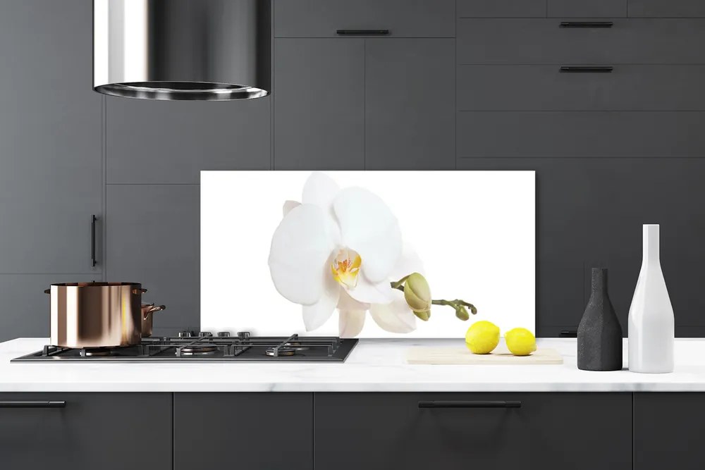 Panel Szklany do Kuchni Subtelny Akcent Botaniczny