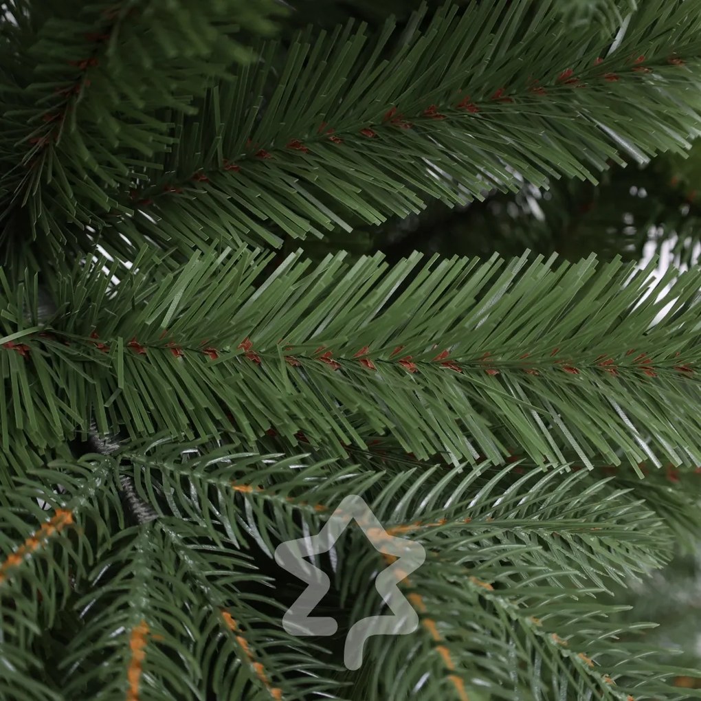 Jodła naturalna 210 cm