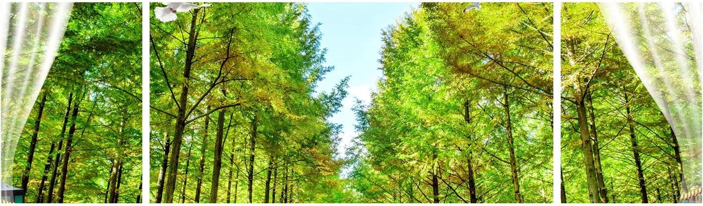 Obraz - Widok na las (170x50 cm)