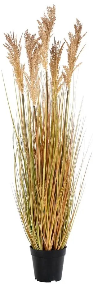 Sztuczna trawa (wysokość 110 cm) Sorghum – House Nordic