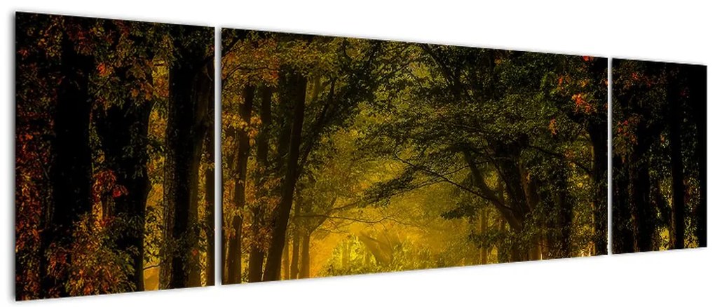 Obraz lasu (170x50 cm)