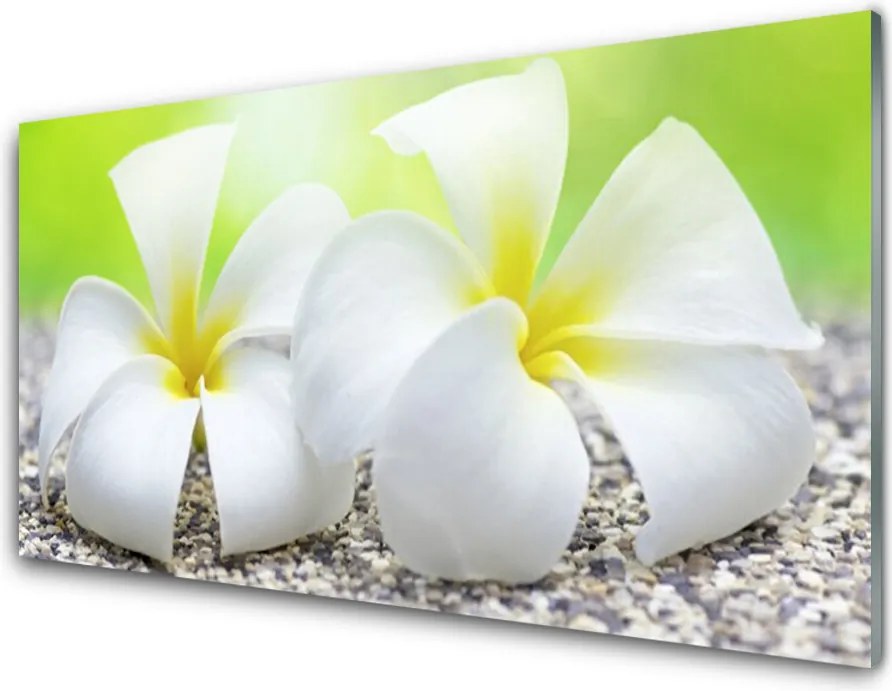 Panel Kuchenny Romantyczna Flora Ogrodowa