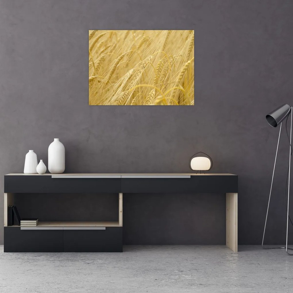 Obraz - Jęczmień (70x50 cm)