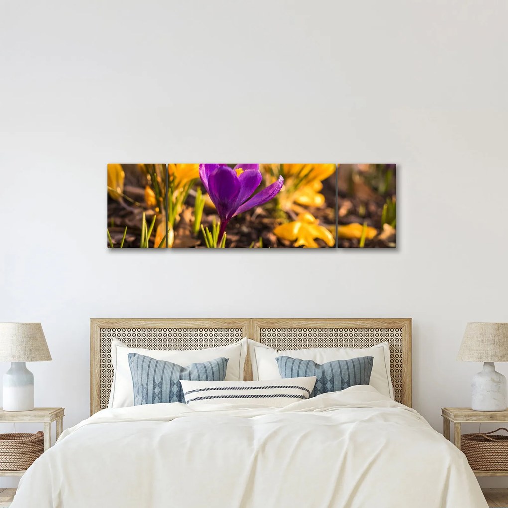 Obraz fioletowego kwiatu (170x50 cm)