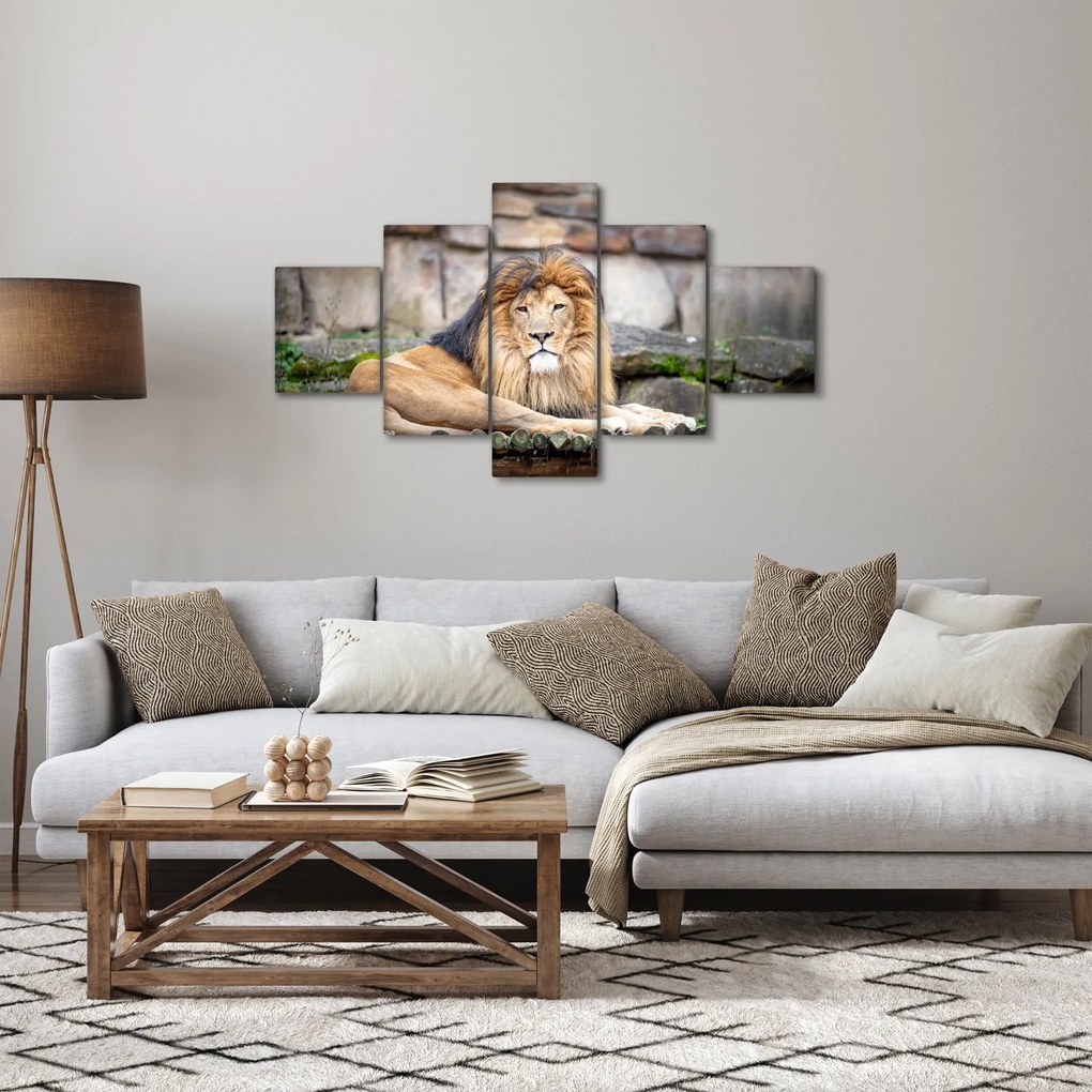 Obraz lwa (125x70 cm)