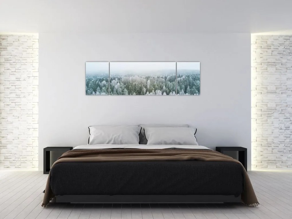 Obraz - Ośnieżone szczyty lasów (170x50 cm)