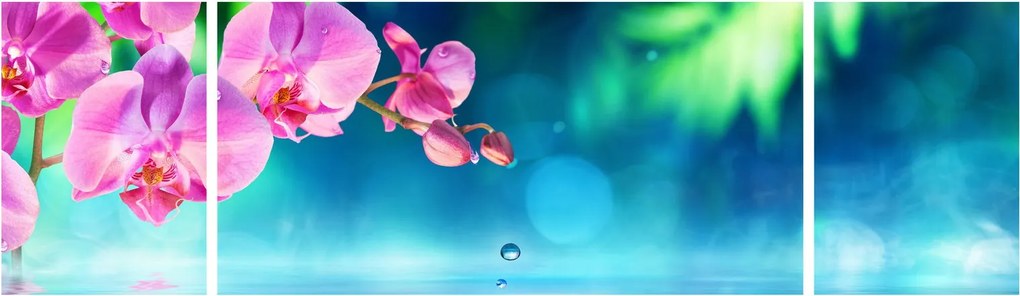 Obraz - Orchidea (170x50 cm)