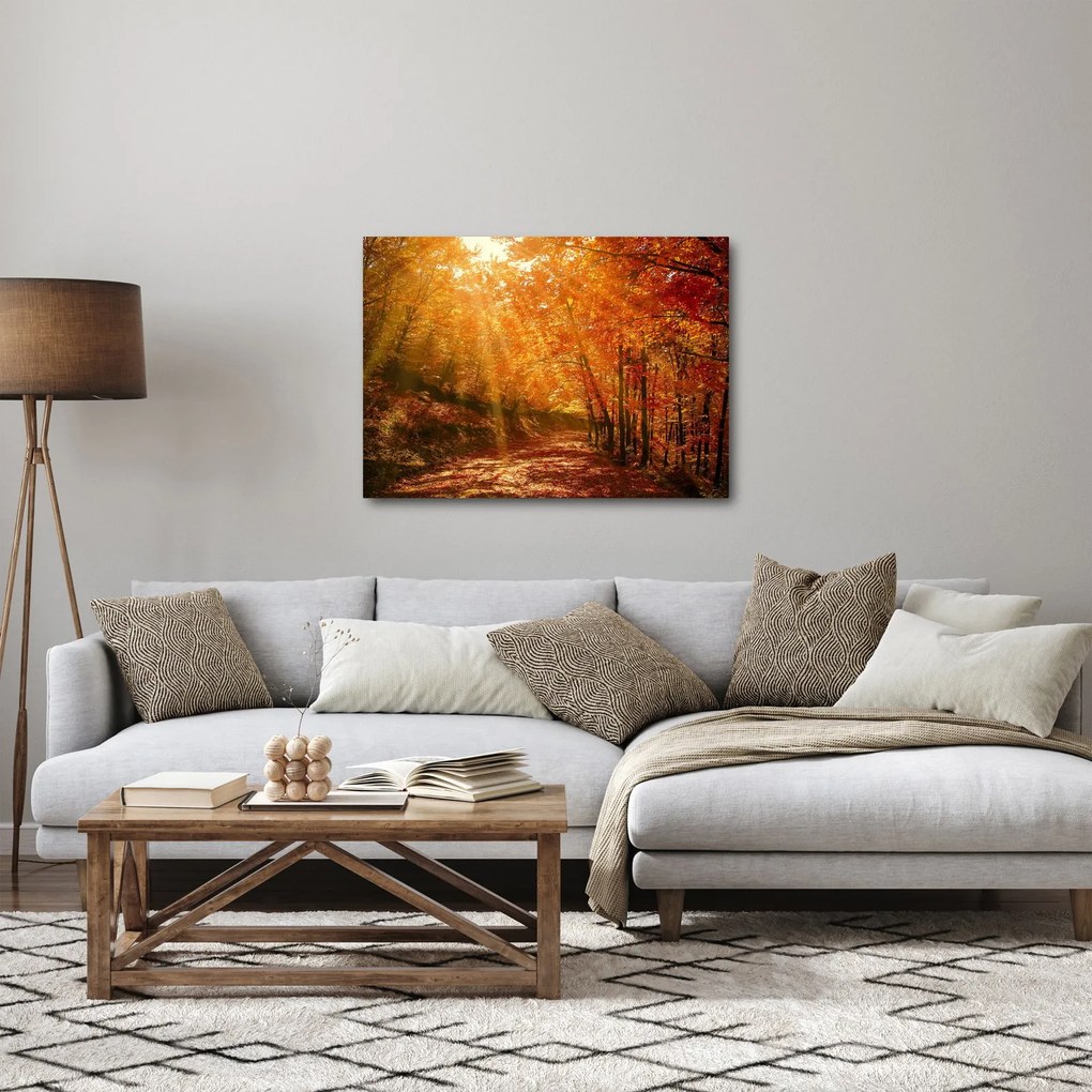 Obraz jesiennego lasu (70x50 cm)