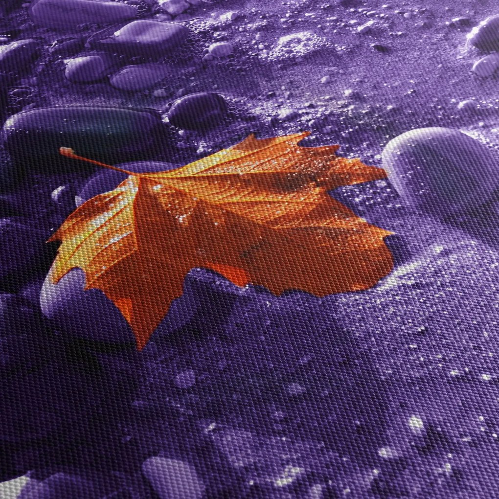 Obraz - Plaża morska (70x50 cm)