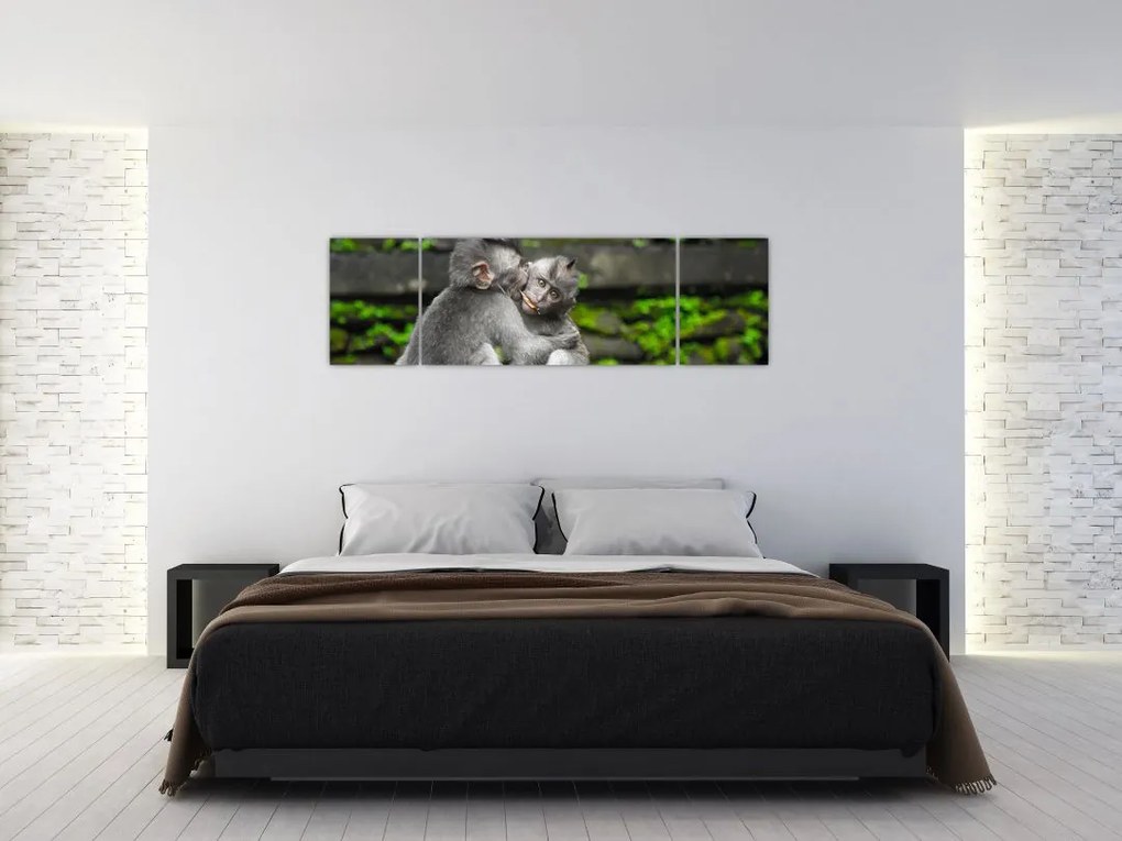 Obraz - małpki (170x50 cm)