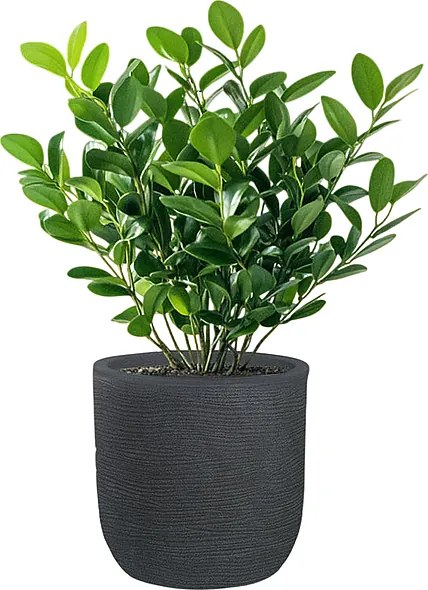 Wazon żywiczny cylindryczny Raffaello Grigio 35x34cm do roślin doniczkowych i ogrodowych