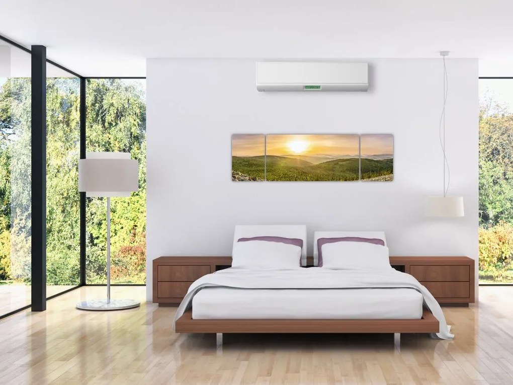 Obraz panoramiczny (170x50 cm)