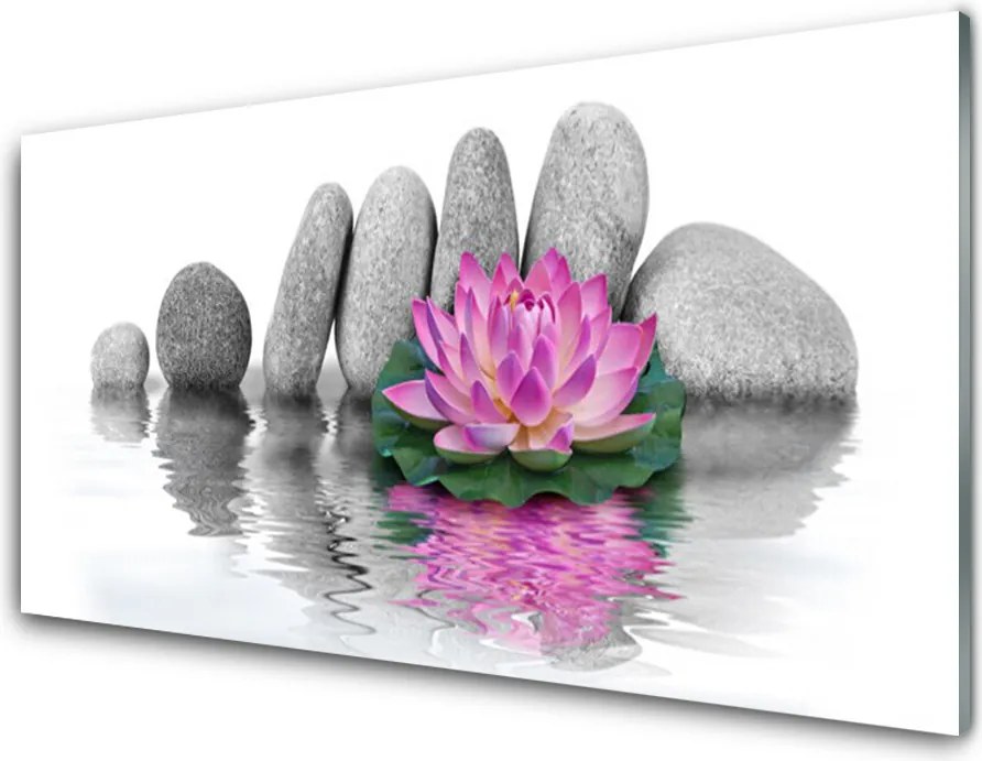 Panel Szklany do Kuchni Balans Natury: Kwiat i Skała