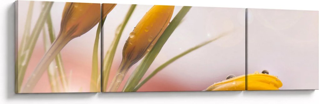 Obraz - Wiosenne kwiaty (170x50 cm)