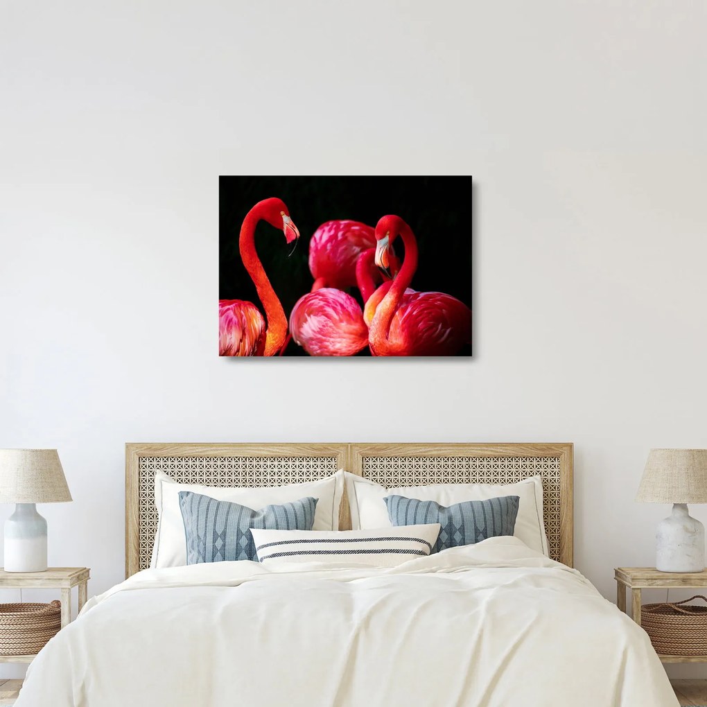 Obraz na szkle - czerwone flamingi (70x50 cm)