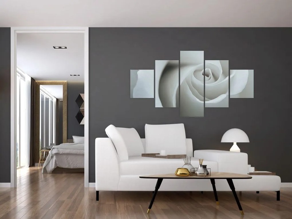 Obraz - Biała róża (125x70 cm)