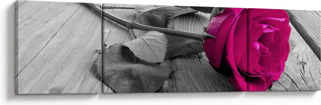 Obraz - Różowa róża (170x50 cm)