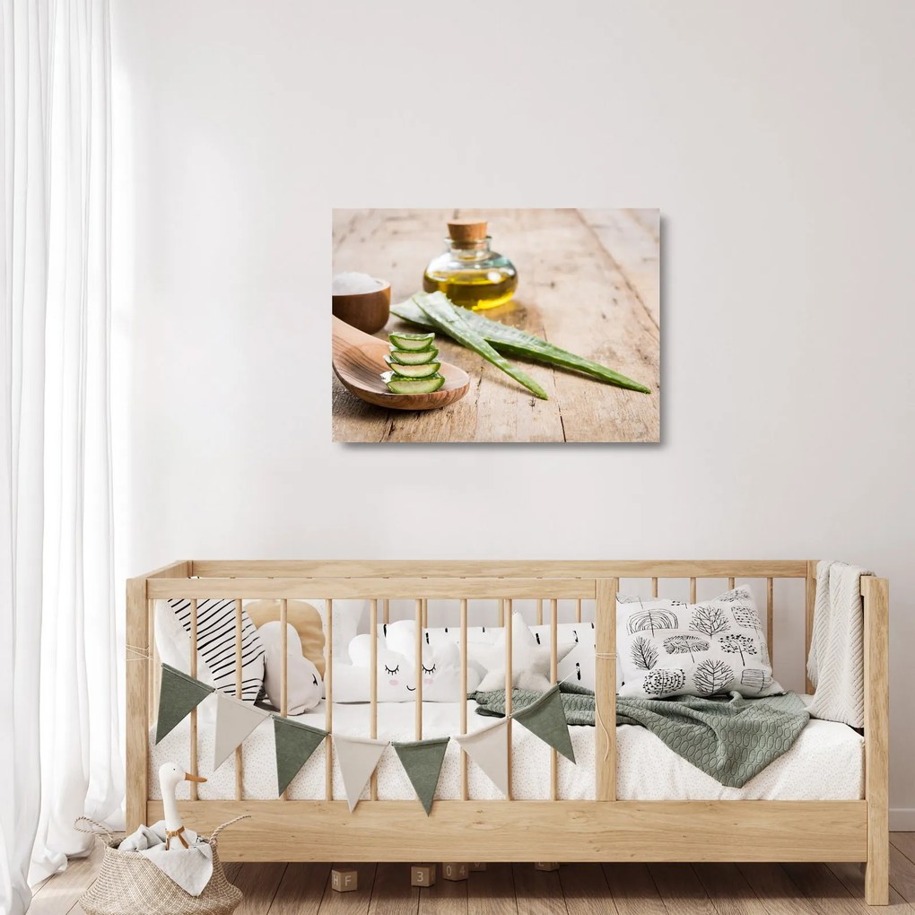 Obraz na szkle - Aloes (70x50 cm)
