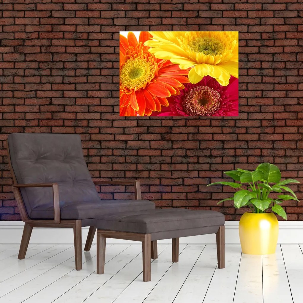 Obraz na szkle - Kwiaty Gerbery (70x50 cm)
