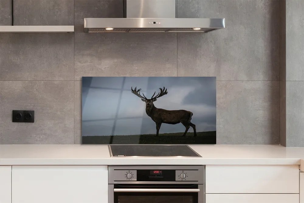 Panel nad Blat Kuchenny Jeleń w Nocnej Scenerii