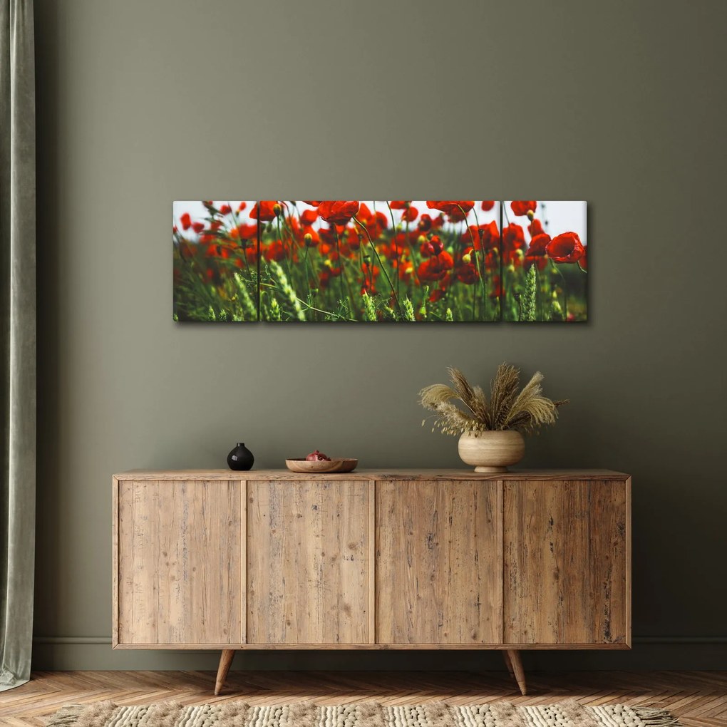 Obraz maków na wietrze (170x50 cm)