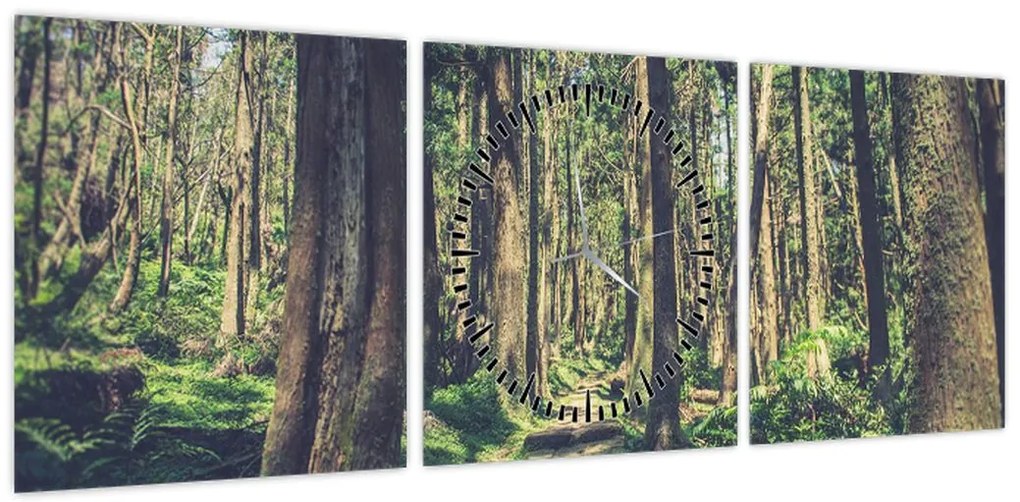 Obraz ścieżki pomiędzy drzewami (z zegarem) (90x30 cm)