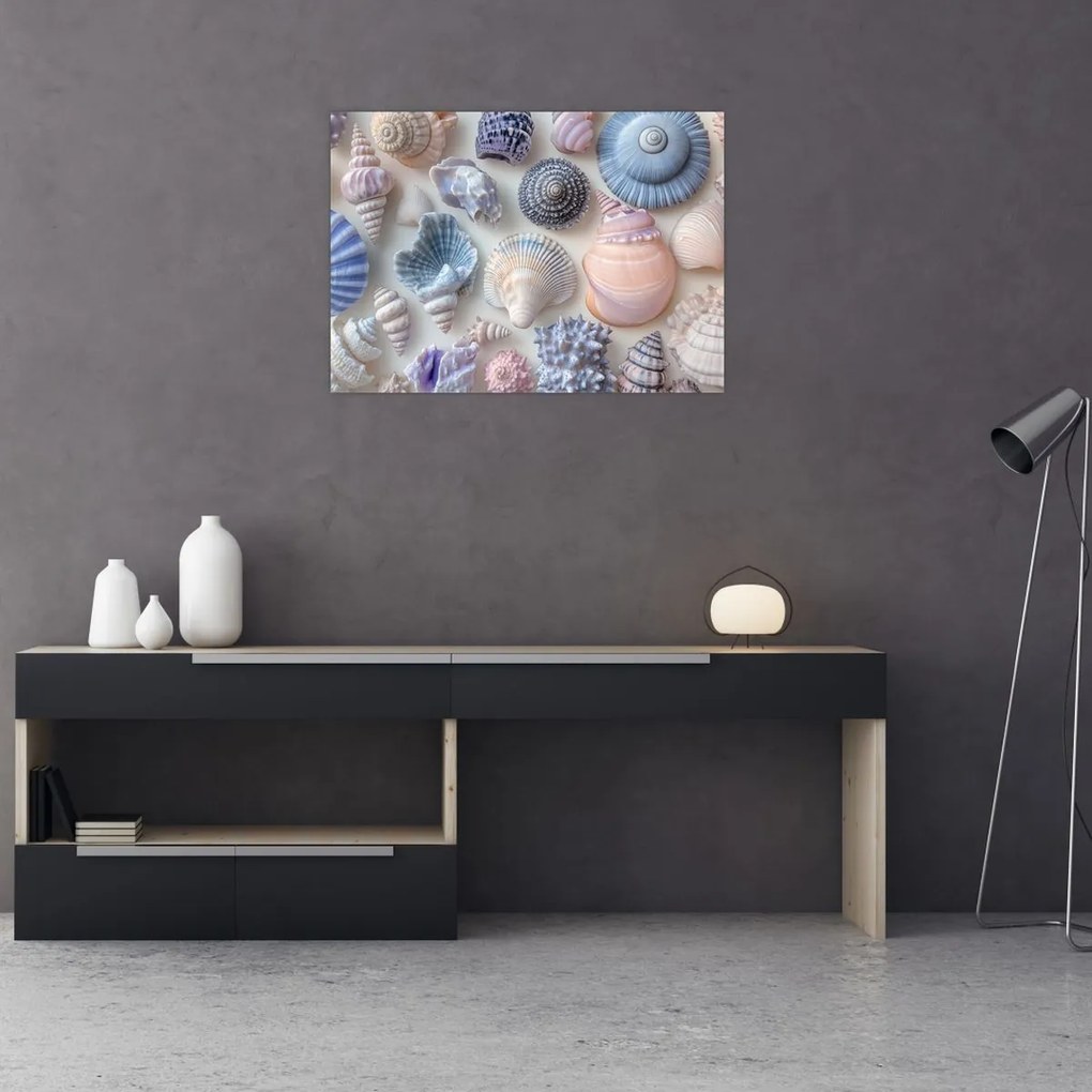 Obraz na szkle - Kolekcja muszli (70x50 cm)