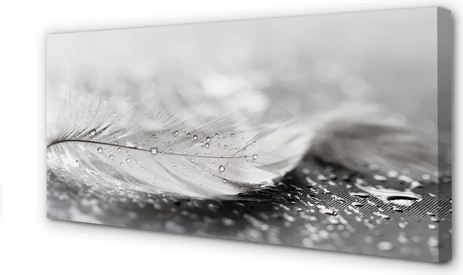 Obraz canvas na ścianę Delikatne Krople na Piórku