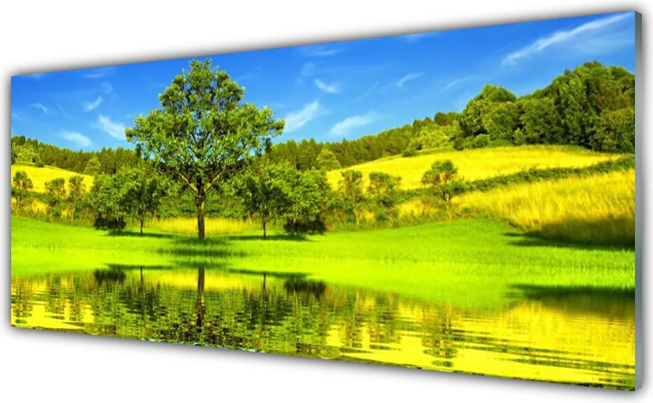 Szkło do Kuchni na Ścianę Samotne Drzewo na Polanie