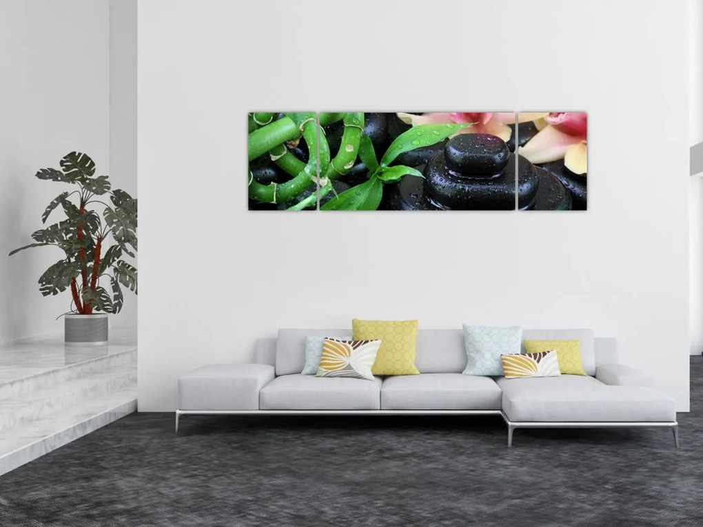 Obraz - Kamienie i orchidee (170x50 cm)