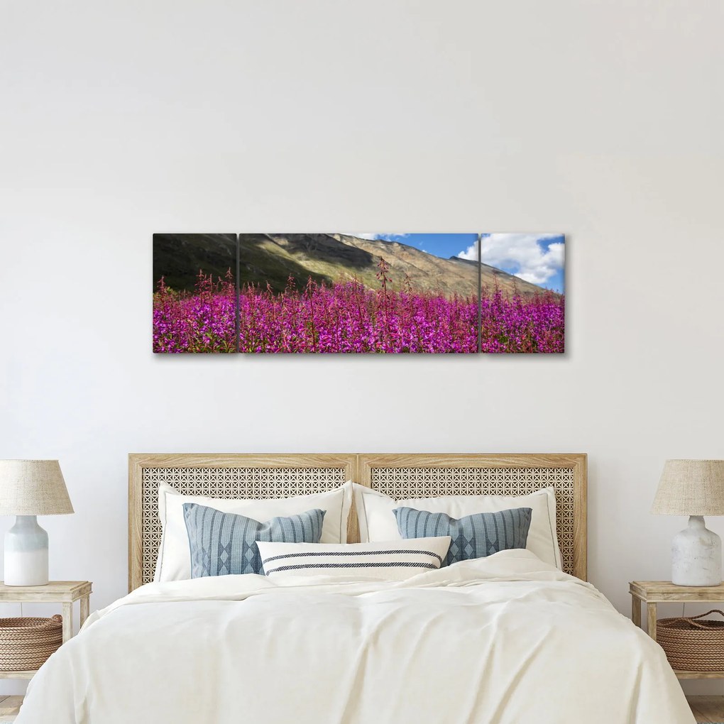 Obraz scenerii łąki górskiej (170x50 cm)