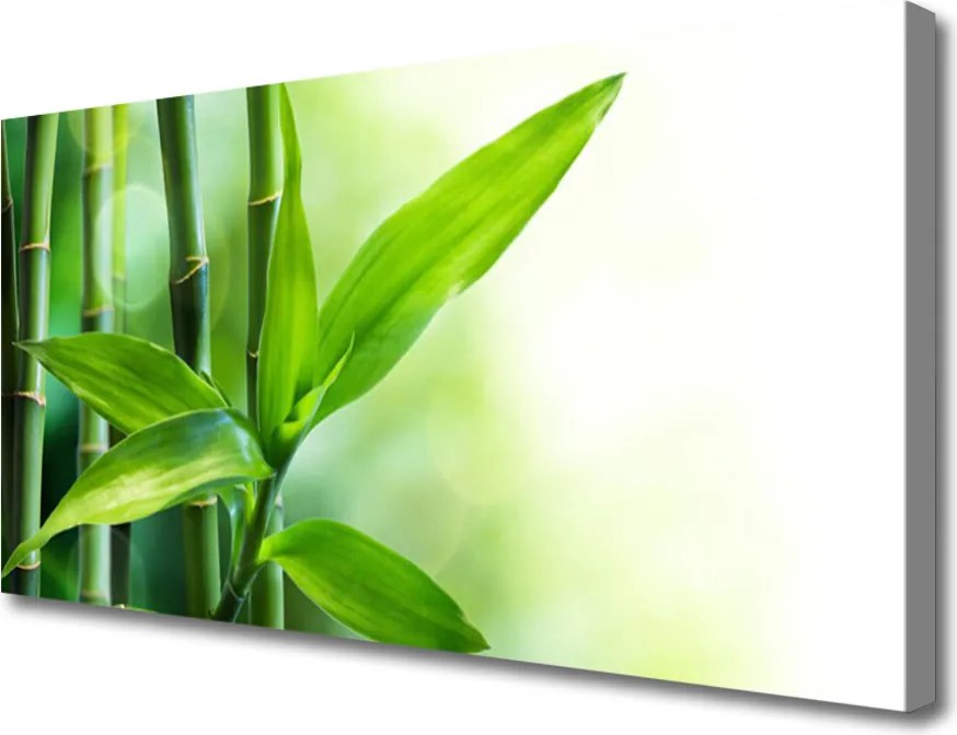 Fotoobraz na płótnie Egzotyczny Detal Liścia