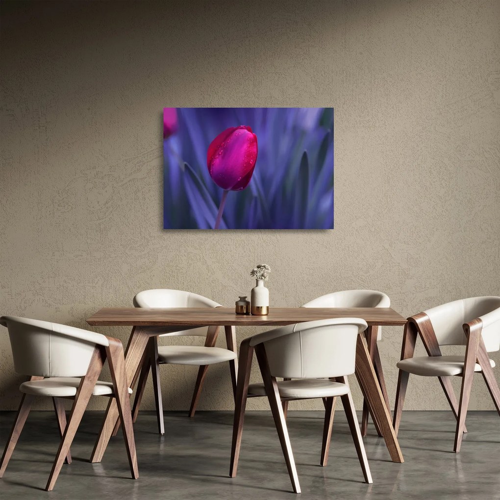 Obraz na szkle pąka tulipana (70x50 cm)