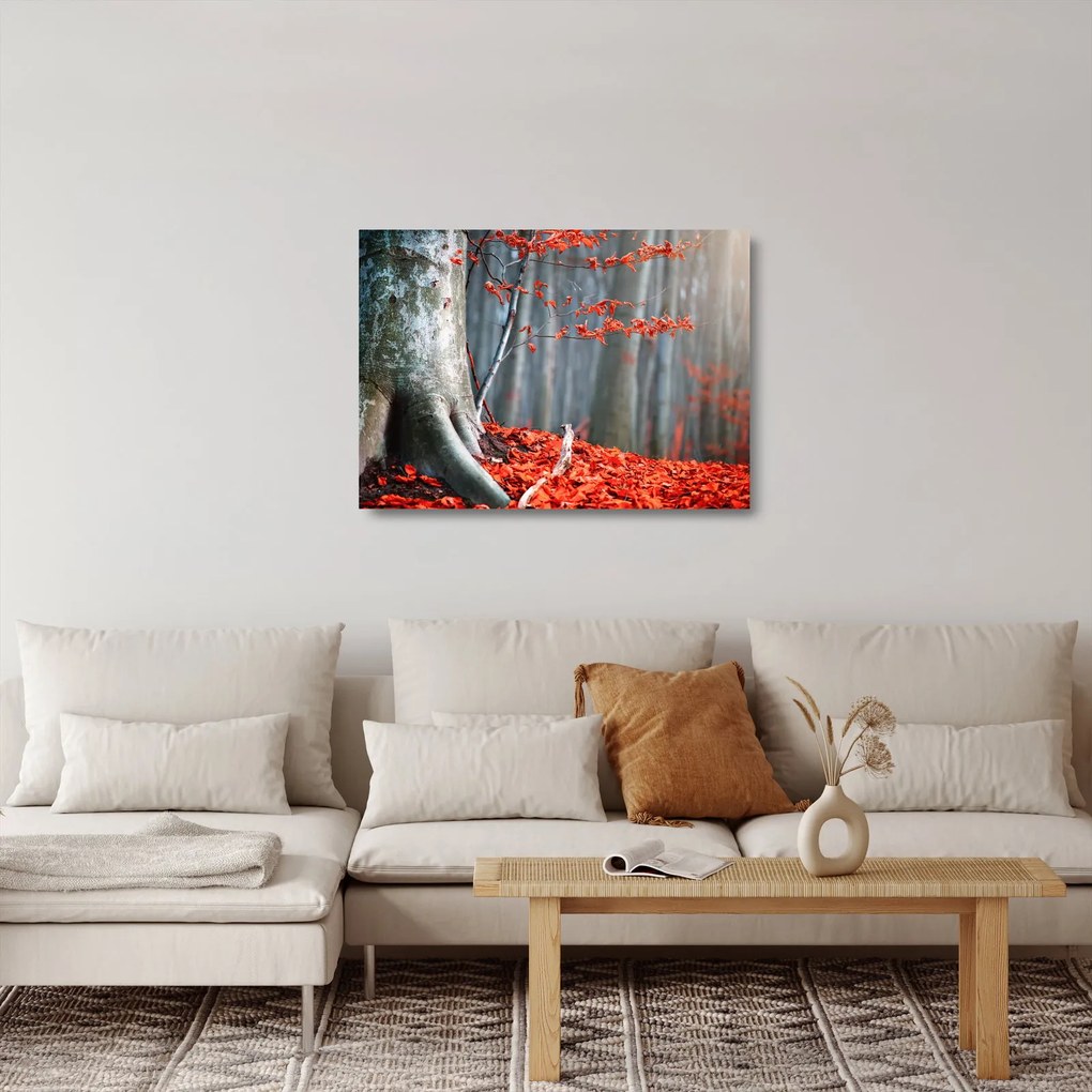 Obraz na szkle - Jesień (70x50 cm)