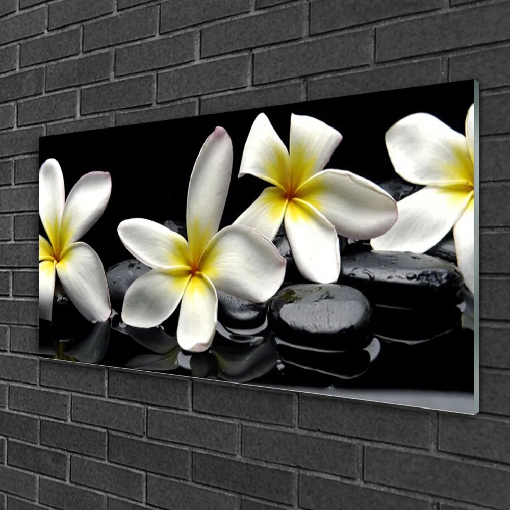Obraz Akrylowy Piękny Kwiat Plumeria