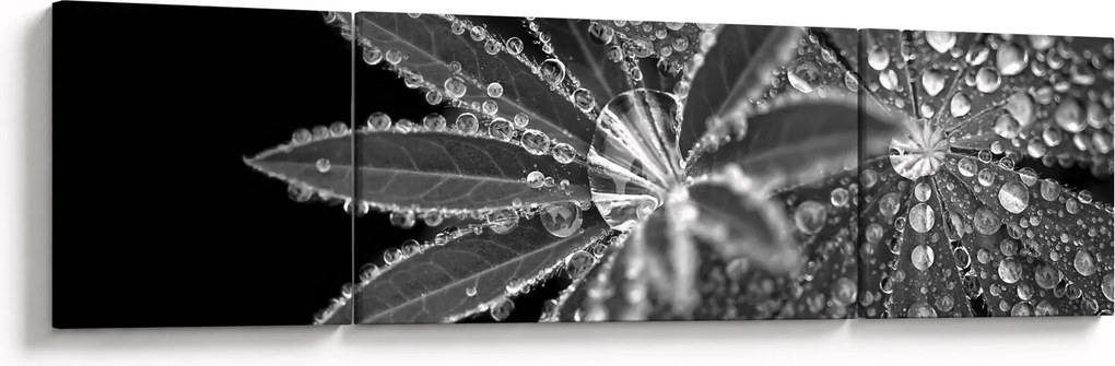 Obraz - Liście z kroplami (170x50 cm)