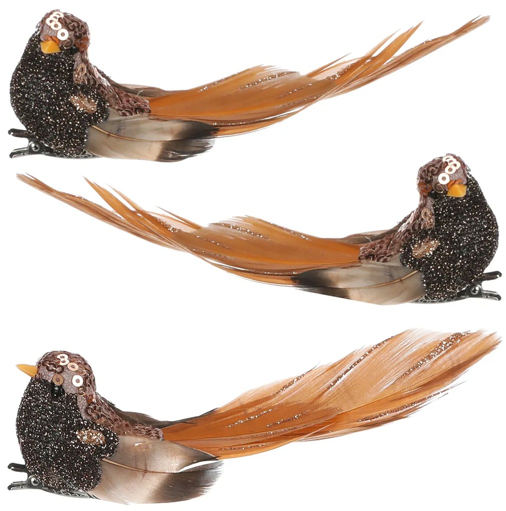 Zestaw ptaszków na klipsie, czarno-brązowy, 3 szt.