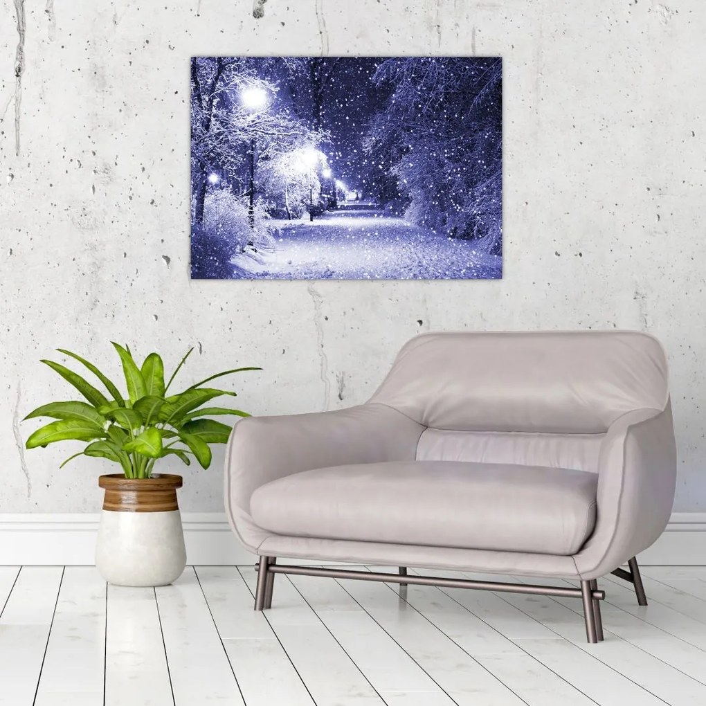 Obraz na szkle - Magiczna zimowa noc (70x50 cm)