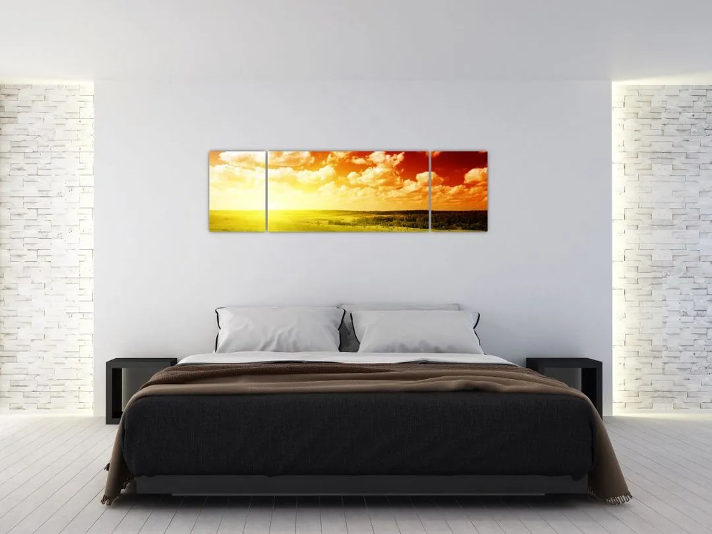 Obraz letniej łąki (170x50 cm)