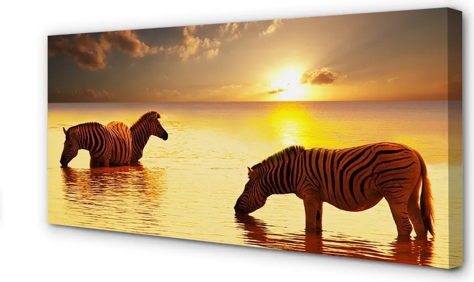 Obraz na płótnie Zebry w Wodzie o Zachodzie Słońca