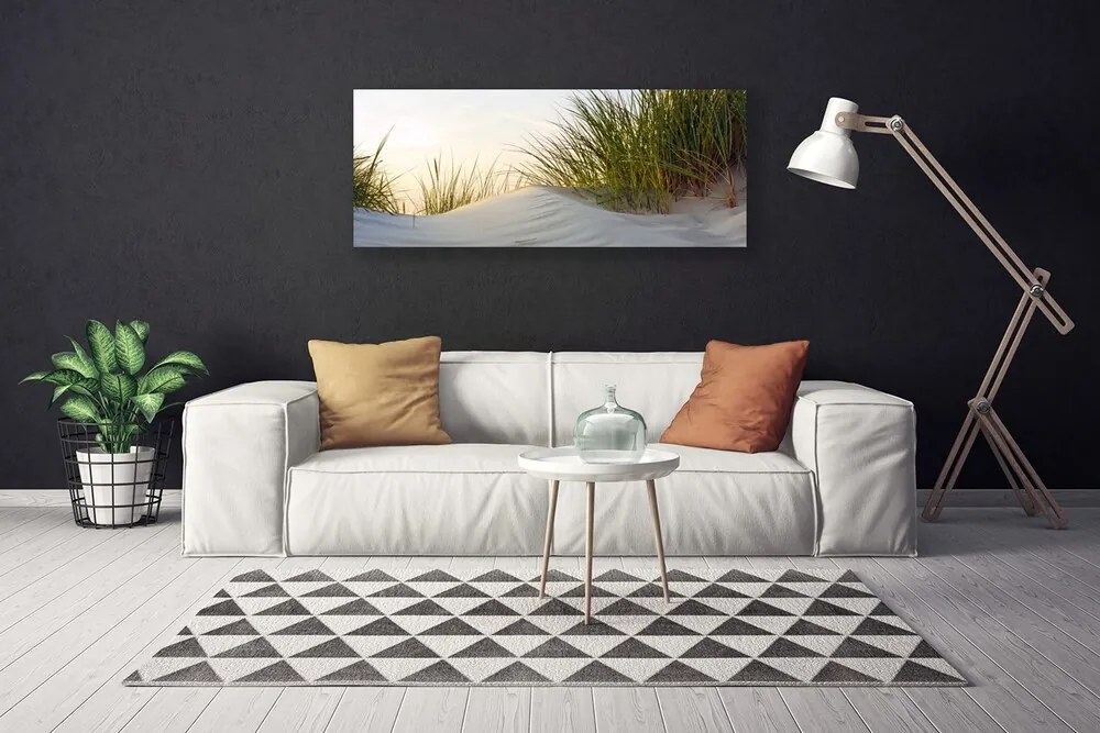 Obraz canvas na ścianę Wydmy Piaszczyste i Trawy